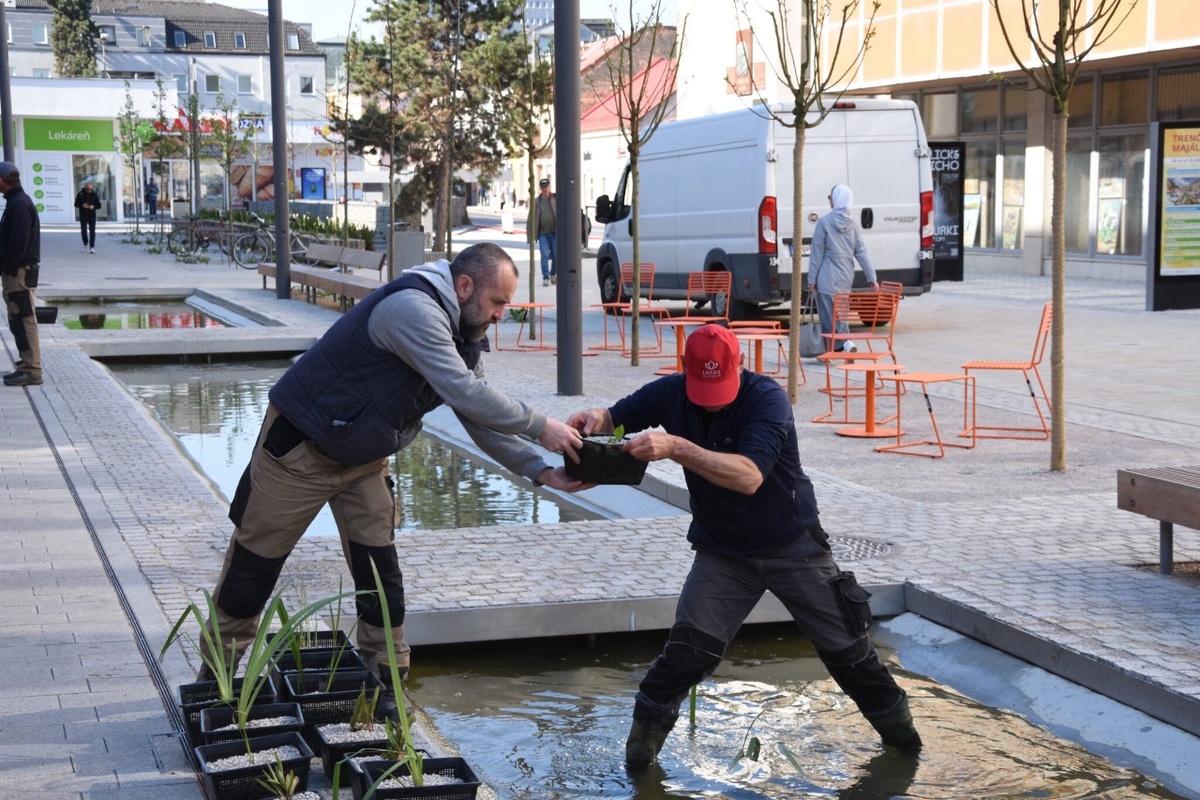 FOTO: Nové vodné plochy na Hviezdoslavovej ulici, foto 3