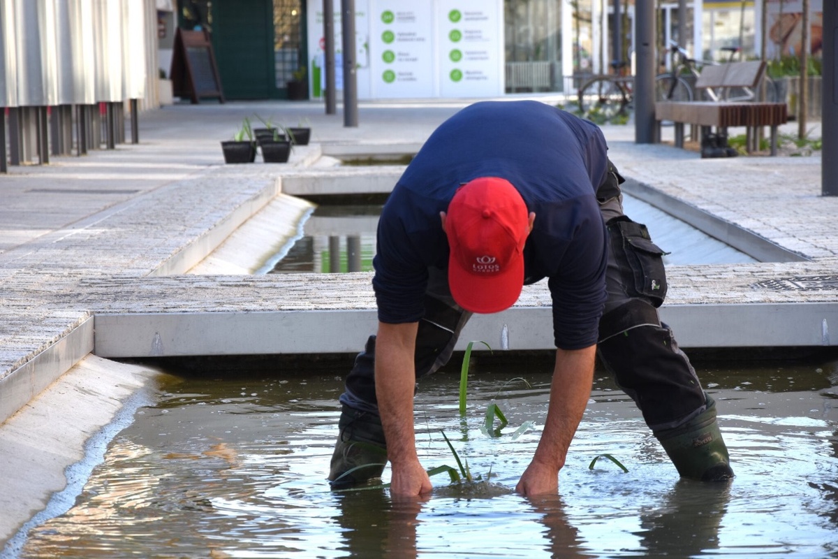 FOTO: Nové vodné plochy na Hviezdoslavovej ulici, foto 4