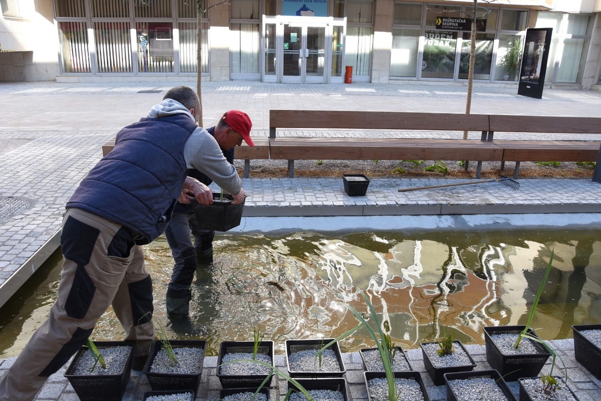 FOTO: Nové vodné plochy na Hviezdoslavovej ulici, foto 5