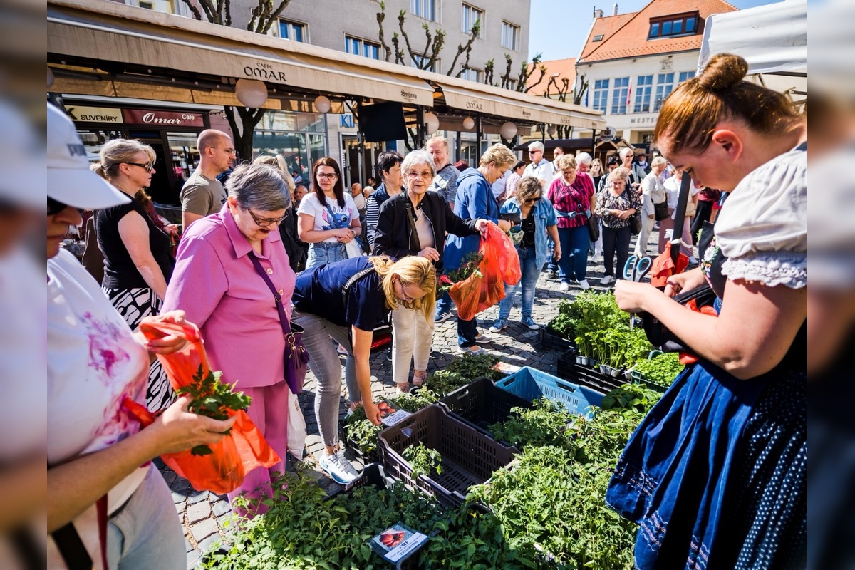 FOTO: Trenčiansky Majáles, foto 1
