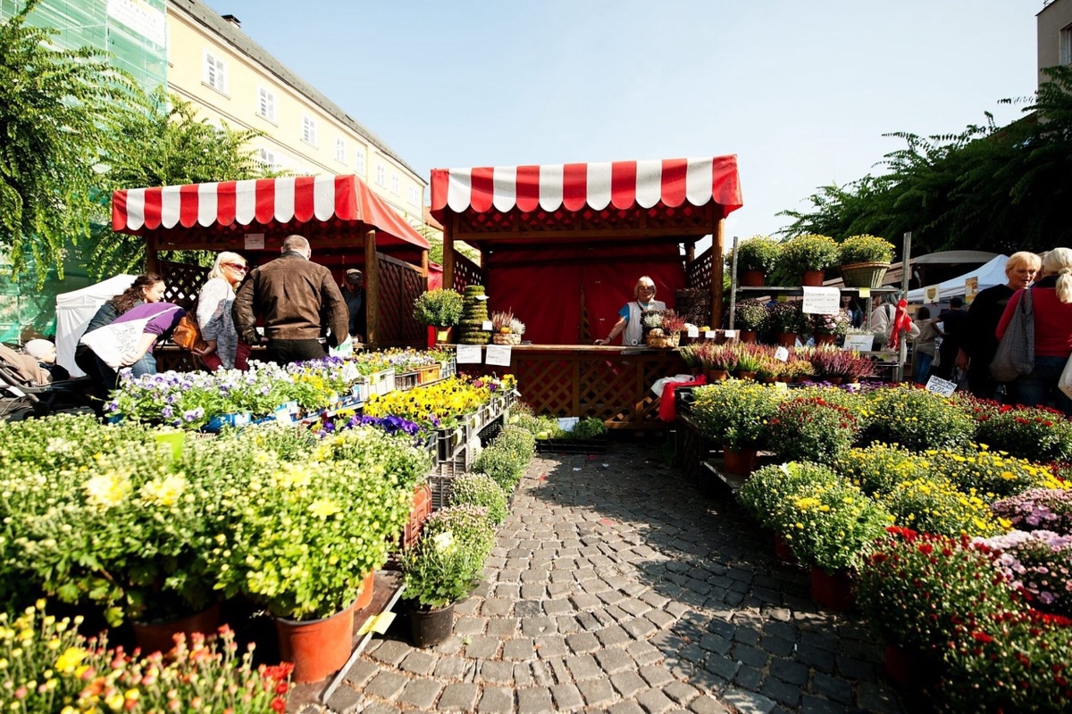 FOTO: Trenčiansky Majáles, foto 5