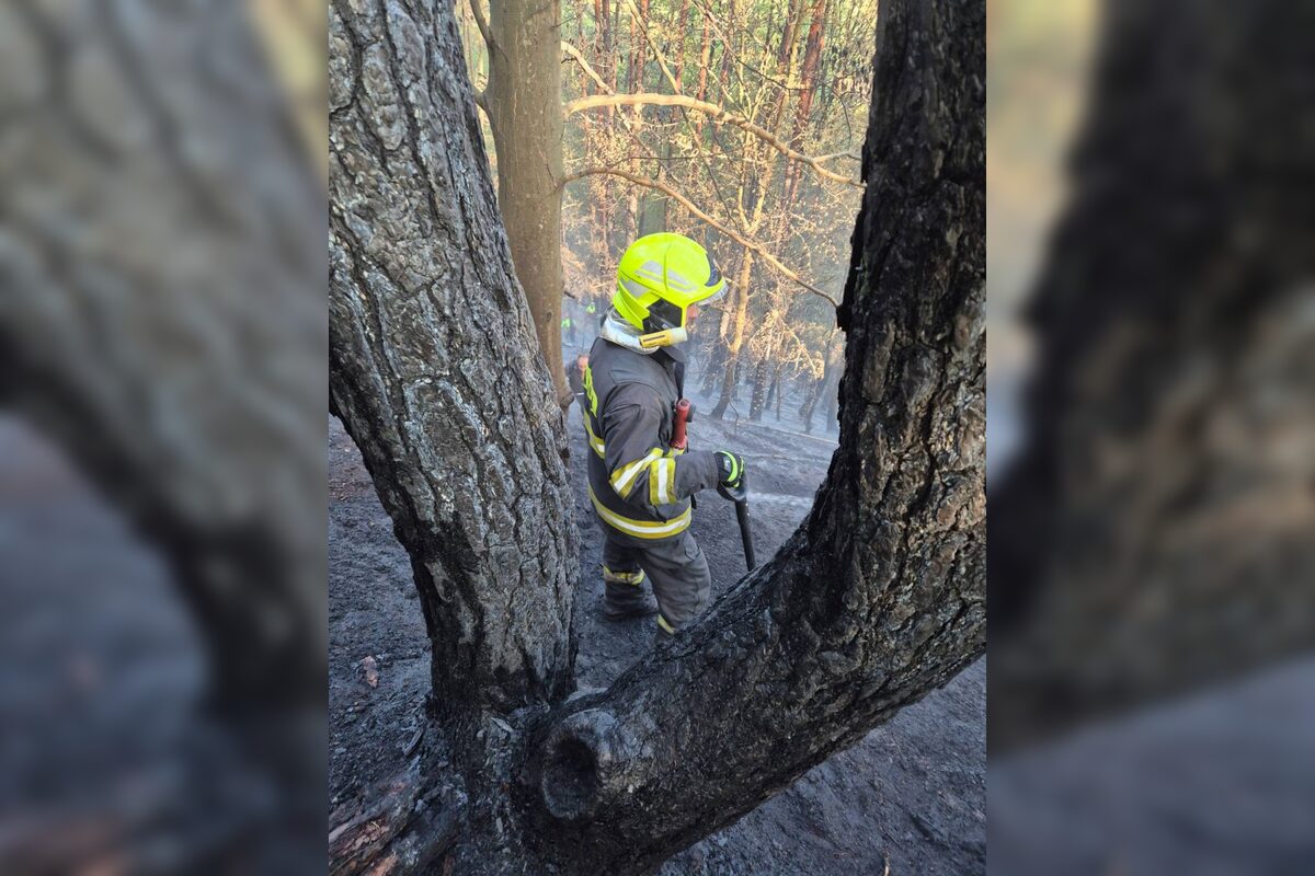 FOTO: Pri obci Prečín horí lesný porast, zasahujú tam hasiči , foto 1