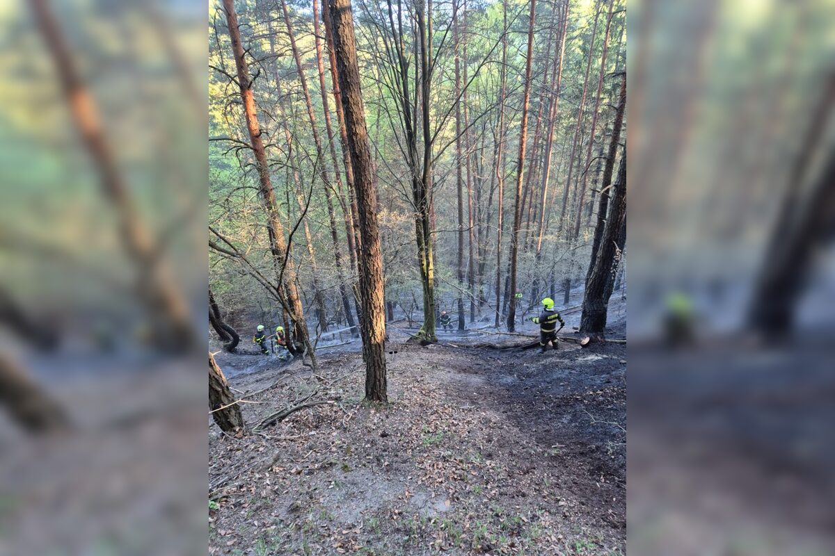FOTO: Pri obci Prečín horí lesný porast, zasahujú tam hasiči , foto 2