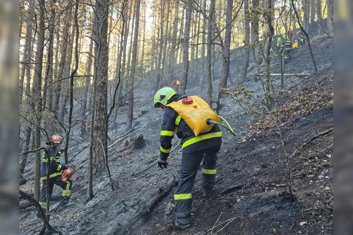 FOTO: Pri obci Prečín horí lesný porast, zasahujú tam hasiči , foto 3