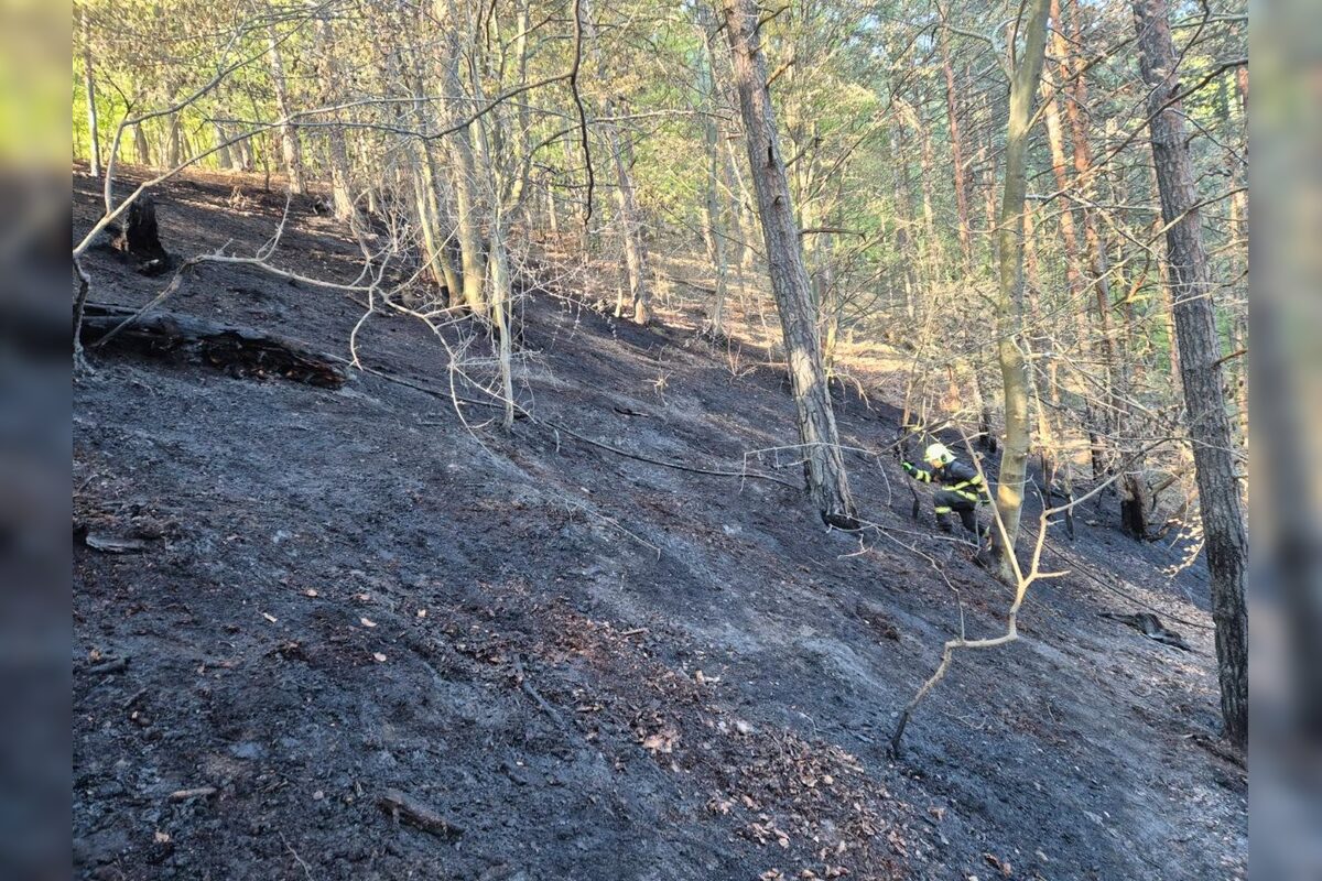 FOTO: Pri obci Prečín horí lesný porast, zasahujú tam hasiči , foto 6