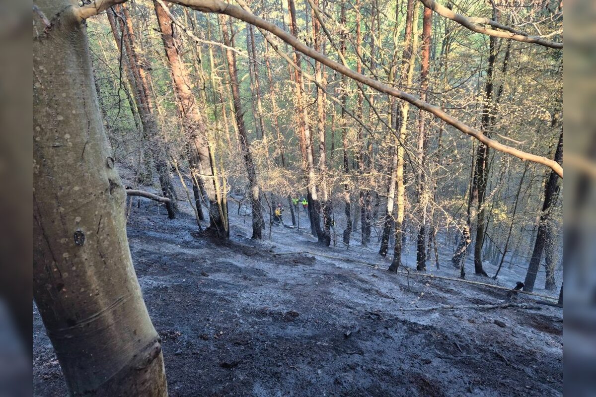 FOTO: Pri obci Prečín horí lesný porast, zasahujú tam hasiči , foto 7