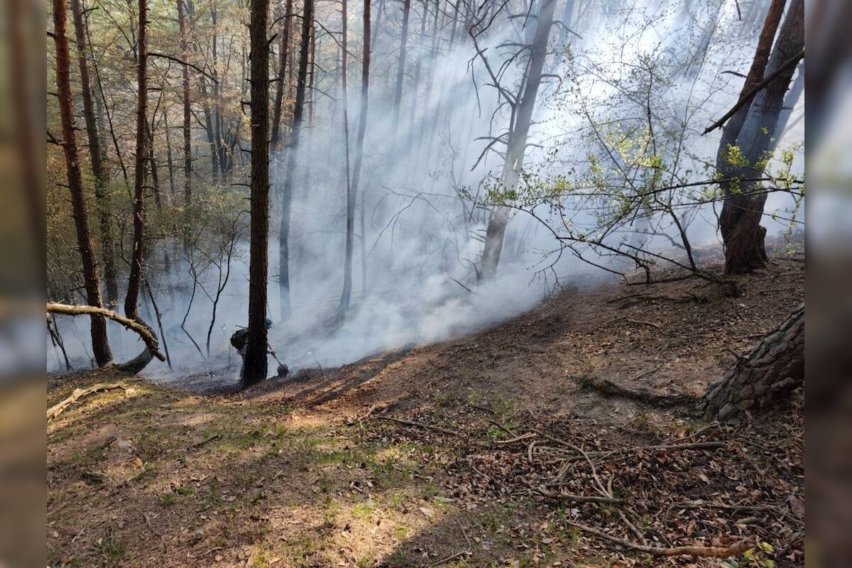 FOTO: Pri obci Prečín horí lesný porast, zasahujú tam hasiči , foto 8