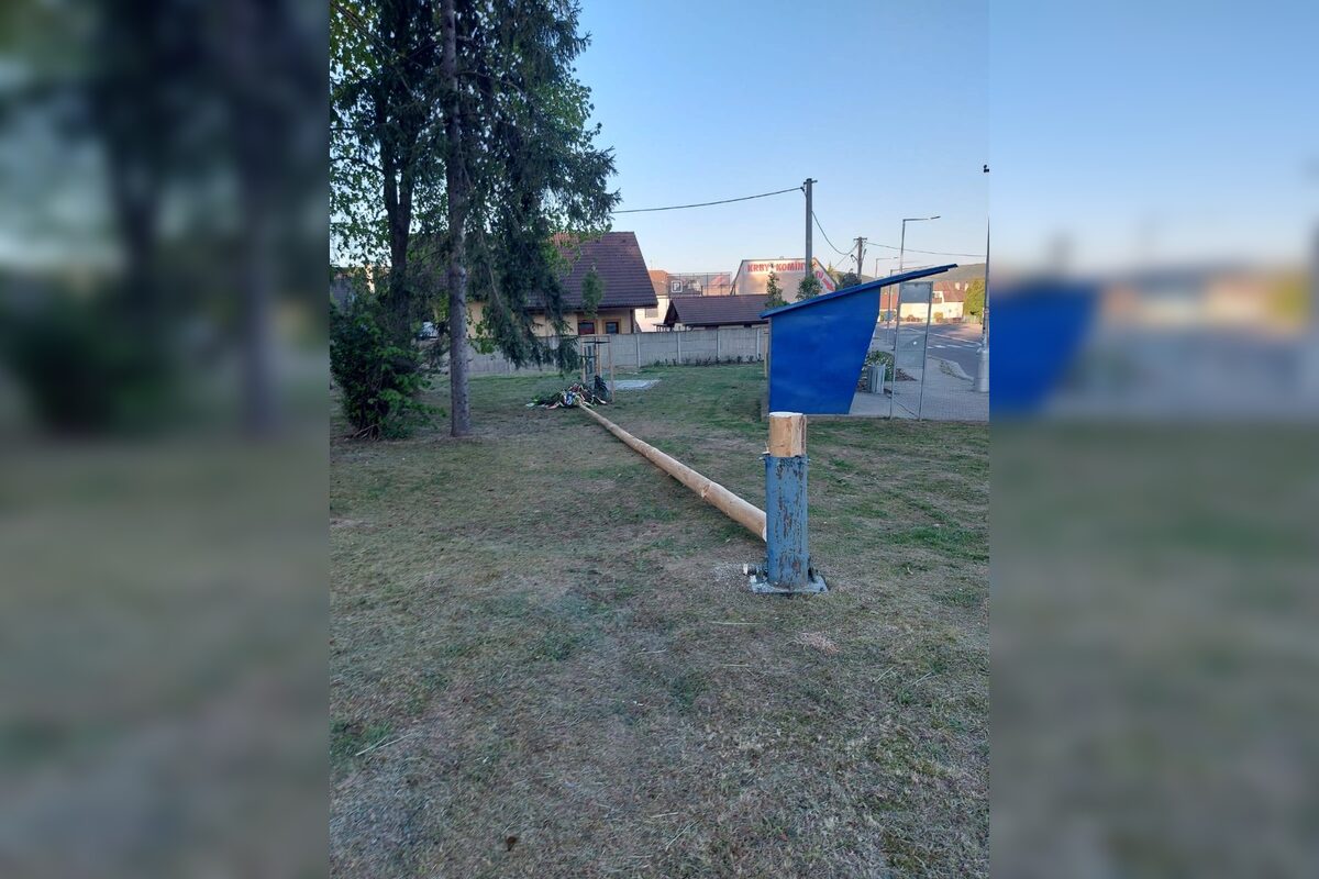 FOTO: V Trenčianskej Teplej neznámy páchateľ zrezal máj, foto 2