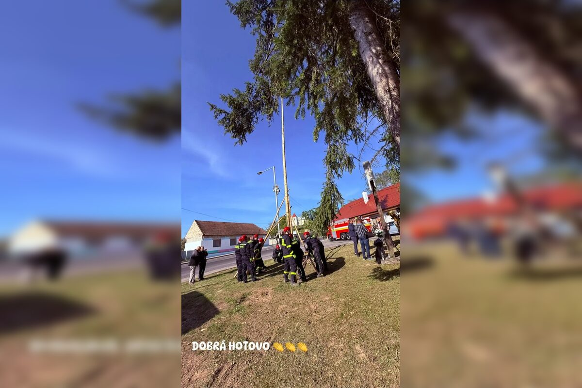 FOTO: V Trenčianskej Teplej neznámy páchateľ zrezal máj, foto 5