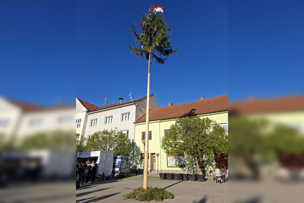 FOTO: Takto vyzeralo stavanie májov v Trenčianskom kraji, foto 6
