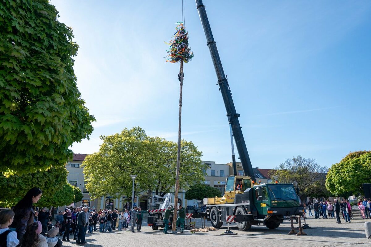 FOTO: Takto vyzeralo stavanie májov v Trenčianskom kraji, foto 49