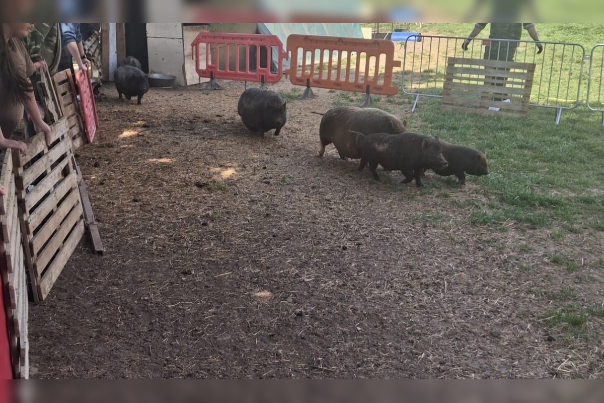 FOTO: Chovateľovi odobrali desiatky zvierat, foto 6