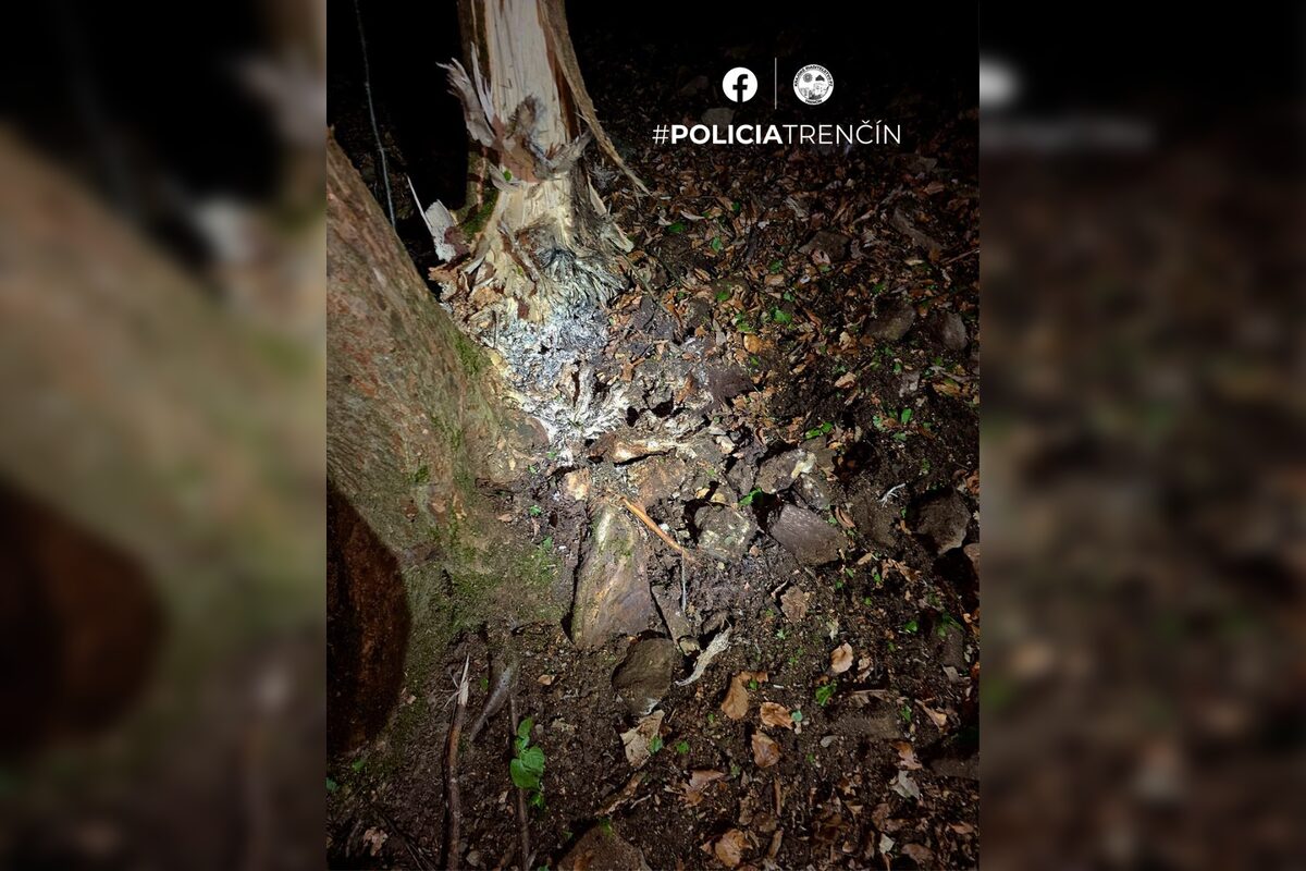 FOTO: Mína v myjavskom okrese vrástla do kmeňa stromu , foto 3