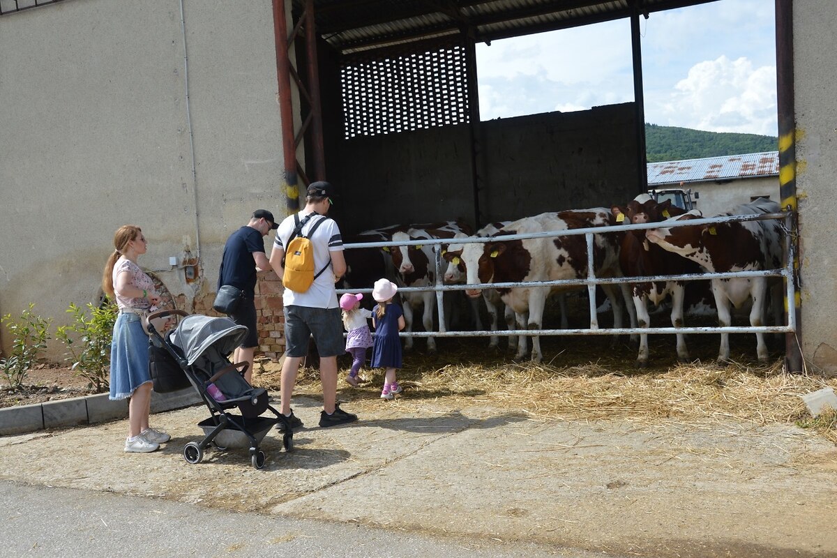 FOTO: Rodinný deň v PD Bošáca, foto 19