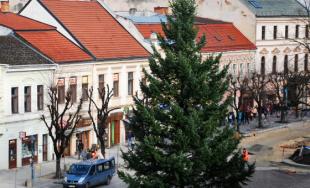 Vianočný stromček už zdobí centrum Trenčína, rozsvieti ho Mikuláš