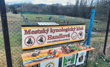 FOTO: Super čivaviak Longi valcuje konkurenciu. Bravúrny začiatok sezóny handlovských kynológov 