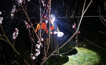 FOTO: Do ochrany úrody pred mrazom nasadili ovocinári aj moderné technológie. V sade horeli ohne a lietali drony