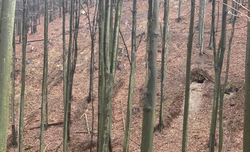 FOTO: Odhalenie Zásahového tímu pre medveďa hnedého: V Nedožeroch-Brezanoch neútočila tá istá šelma ako v Tužine
