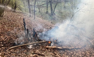 FOTO: Na hornej Nitre dnes ráno opäť horelo v lese. S plameňmi si poradili hasiči z Nitrianskeho Pravna