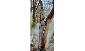 FOTO: Na hornej Nitre dnes ráno opäť horelo v lese. S plameňmi si poradili hasiči z Nitrianskeho Pravna