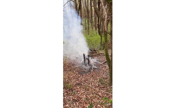 FOTO: Na hornej Nitre dnes ráno opäť horelo v lese. S plameňmi si poradili hasiči z Nitrianskeho Pravna