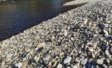 FOTO: Mladá žena opísala hrôzostrašný zážitok z prechádzky neďaleko Trenčína. Jej mama sa tomu bezmocne prizerala