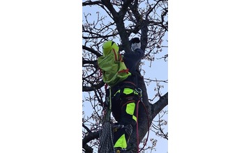 FOTO: Domino zamestnal v Ladcoch dobrovoľných hasičov. Záchranná akcia vysoko nad zemou 