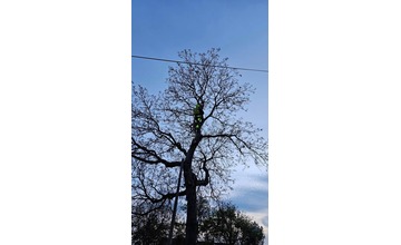 FOTO: Domino zamestnal v Ladcoch dobrovoľných hasičov. Záchranná akcia vysoko nad zemou 