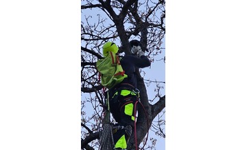 FOTO: Domino zamestnal v Ladcoch dobrovoľných hasičov. Záchranná akcia vysoko nad zemou 