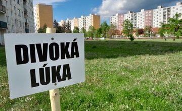 FOTO: V centre Starej Turej vyrastie divoká lúka. Domáci maznáčikovia tam budú mať  stopku