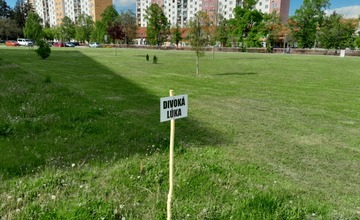 FOTO: V centre Starej Turej vyrastie divoká lúka. Domáci maznáčikovia tam budú mať  stopku