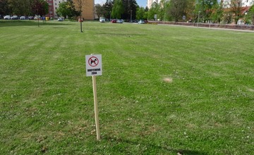 FOTO: V centre Starej Turej vyrastie divoká lúka. Domáci maznáčikovia tam budú mať  stopku