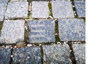 FOTO: Po čom Novomešťania kráčali? Osud vzácnych dlažobných kociek je už spečatený