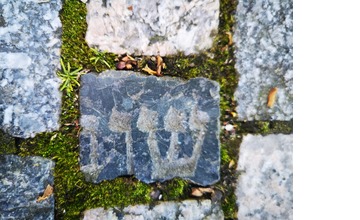 FOTO: Po čom Novomešťania kráčali? Osud vzácnych dlažobných kociek je už spečatený