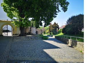 FOTO: Po čom Novomešťania kráčali? Osud vzácnych dlažobných kociek je už spečatený