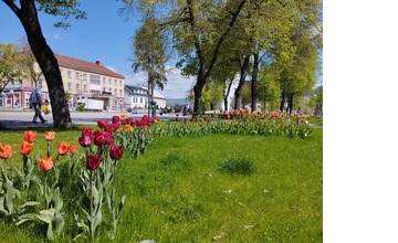 FOTO: Rozkvitnuté námestie v Handlovej. Horná Nitra to nie sú len bane