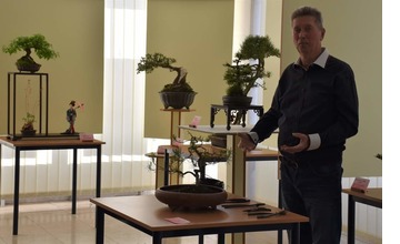 FOTO: Maxi výstava mini stromov v Považskej Bystrici. Ktorý je najkrajší?
