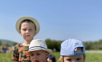 FOTO: Ľudia berú polia v Moravskom Lieskovom útokom. Začal sa samozber jahôd