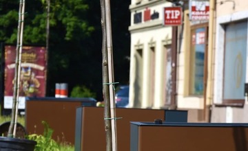 FOTO: Nová mobilná zeleň na Palackého ulici v Trenčíne