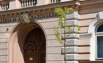 FOTO: Nová mobilná zeleň na Palackého ulici v Trenčíne