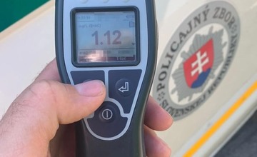 FOTO: V Hornej Breznici narazil opitý vodič do stromu