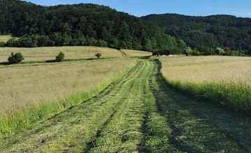 FOTO: So zatúlanými exotmi v Trenčianskom kraji sa roztrhlo vrece. Neďaleko Trenčína sa špacíroval riadny skvost