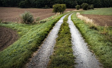 FOTO: So zatúlanými exotmi v Trenčianskom kraji sa roztrhlo vrece. Neďaleko Trenčína sa špacíroval riadny skvost