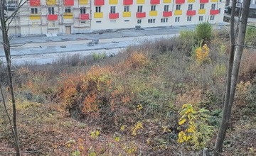 FOTO: Namiesto buriny má v Starej Turej pod železnicou vyrásť bombastický ekopark