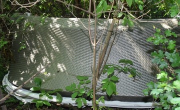 FOTO: Mack pomohol policajtom s prípadom krádeže