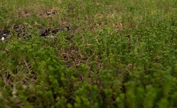 FOTO: Nové športovisko v areáli púchovského gymnázia