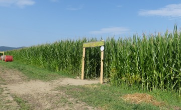 FOTO: Na hranici Trenčianskeho a Žilinského kraja sa dá ľahko stratiť. V kukurici tam opäť vyrástlo bludisko