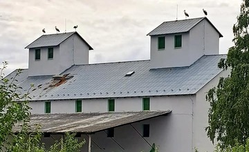 FOTO: Čaká obec na Považí nárast prírastkov? Zlietli sa tam bociany snáď z celého kraja