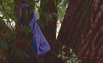 FOTO: Neporiadok v parku Východná