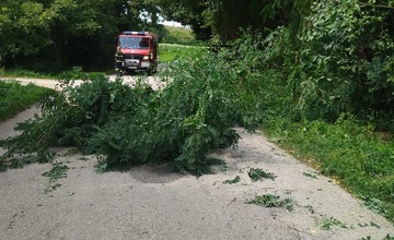 FOTO: Popadané stromy v okrese Myjava a Nové Mesto nad Váhom